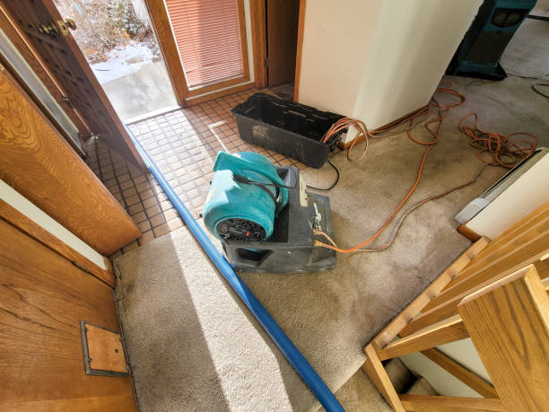 Best Local water damage restoration  in Bloomville, OH