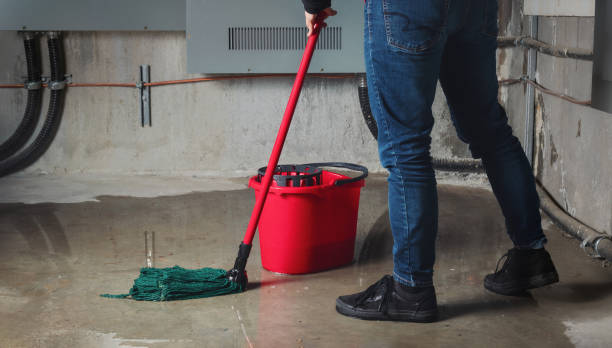 Best Residential water damage restoration  in Bloomville, OH