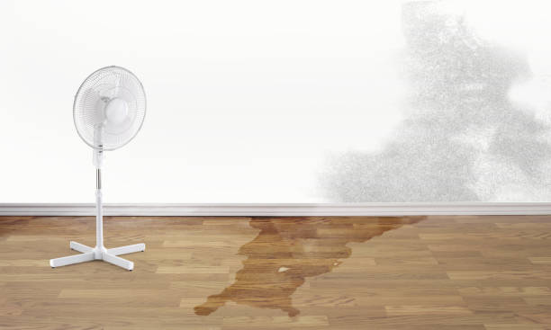 Best Sewage cleanup and water damage restoration  in Bloomville, OH