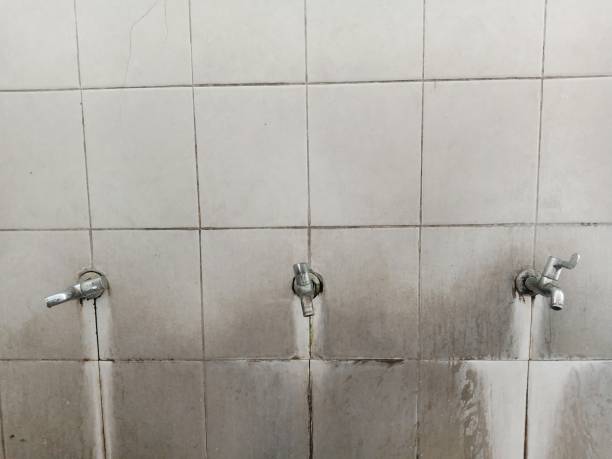 Best Water damage repair service  in Bloomville, OH