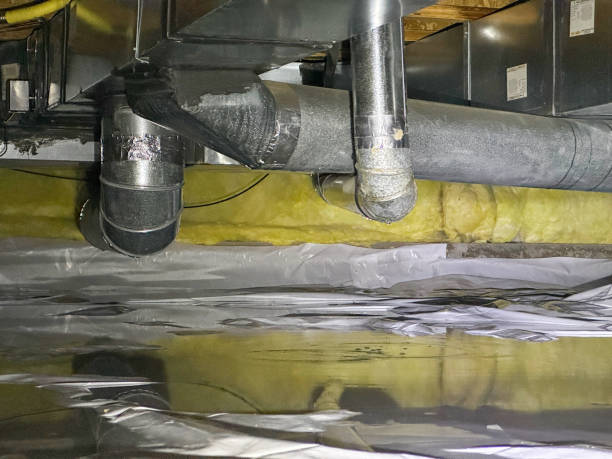 Best Water damage contractors near me  in Bloomville, OH