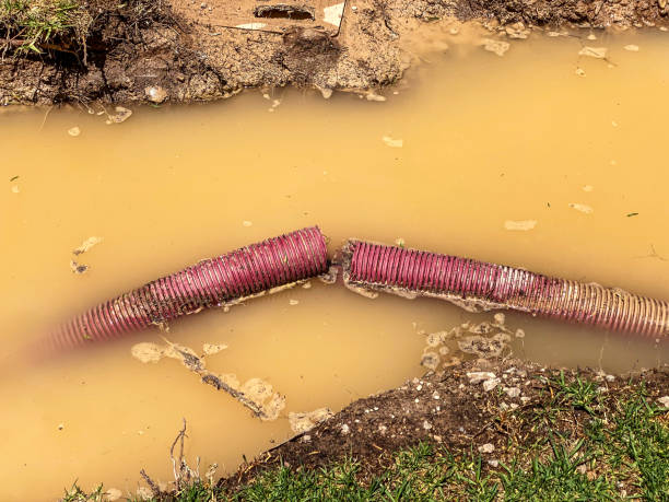 Best Emergency water damage restoration  in Bloomville, OH
