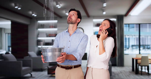 Best Sewage cleanup and water damage restoration  in Bloomville, OH