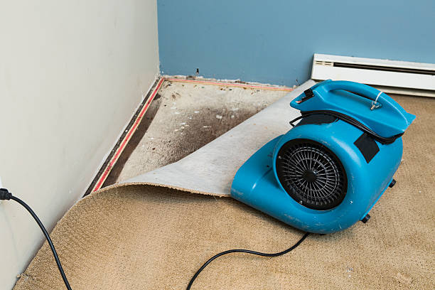 Best 24-hour water damage restoration  in Bloomville, OH